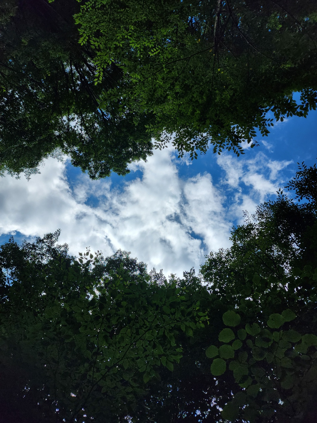 M & W_시 3.0_p58_이미지.jpg