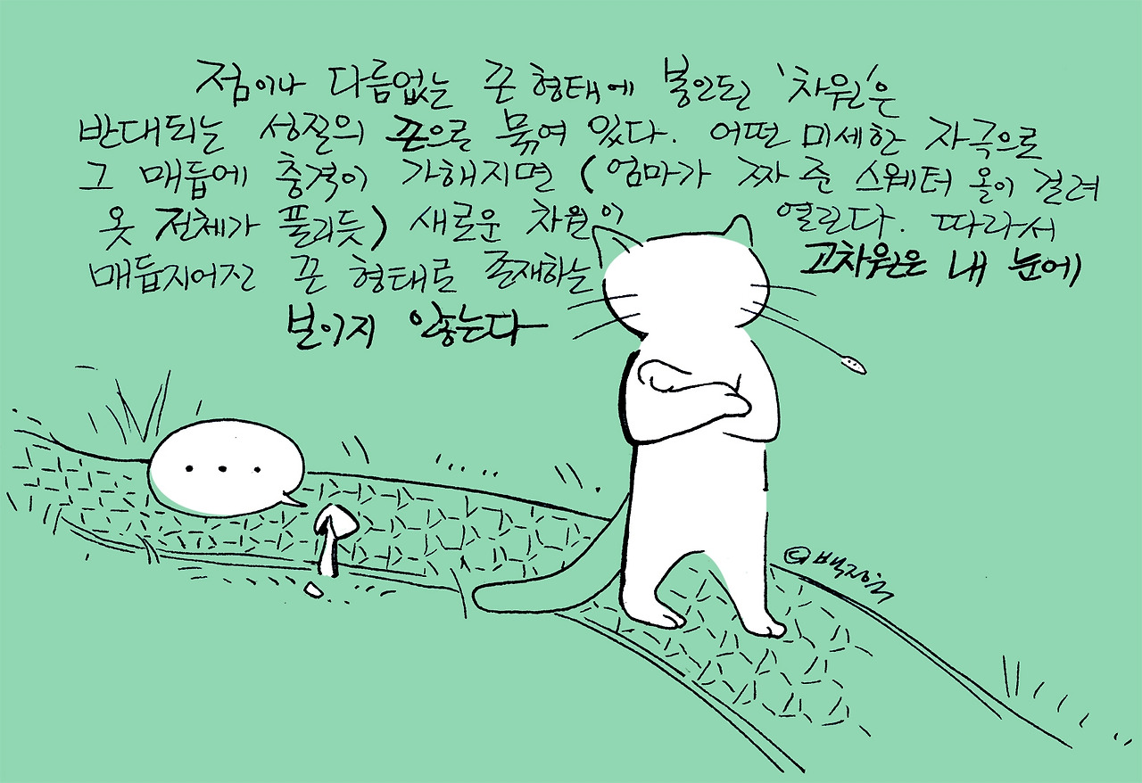 220721_cffcat3_byPJU copy.jpg