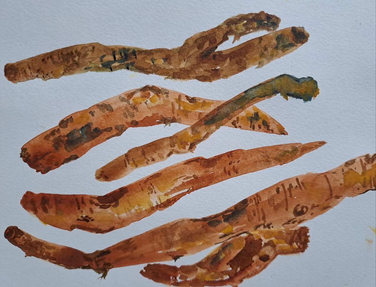 칡의 길 그림.jpg