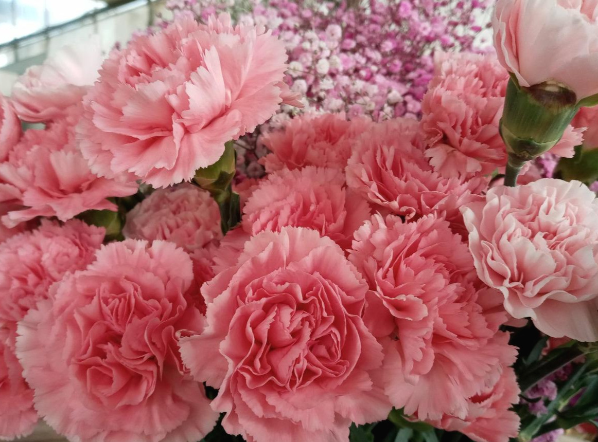 2022. 5월 브런치사진3.jpg