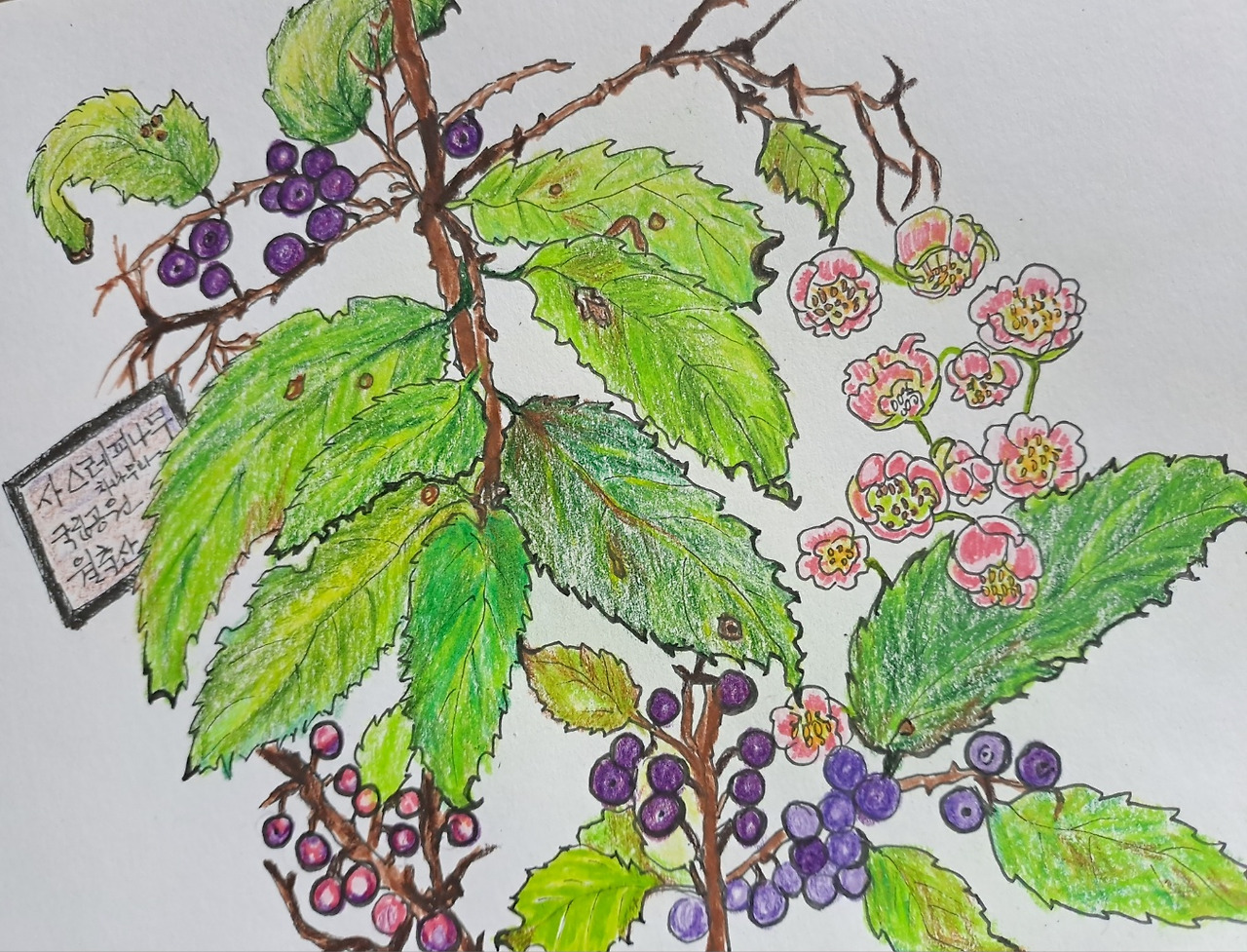 보통날의 시선33 월출산이~.jpg