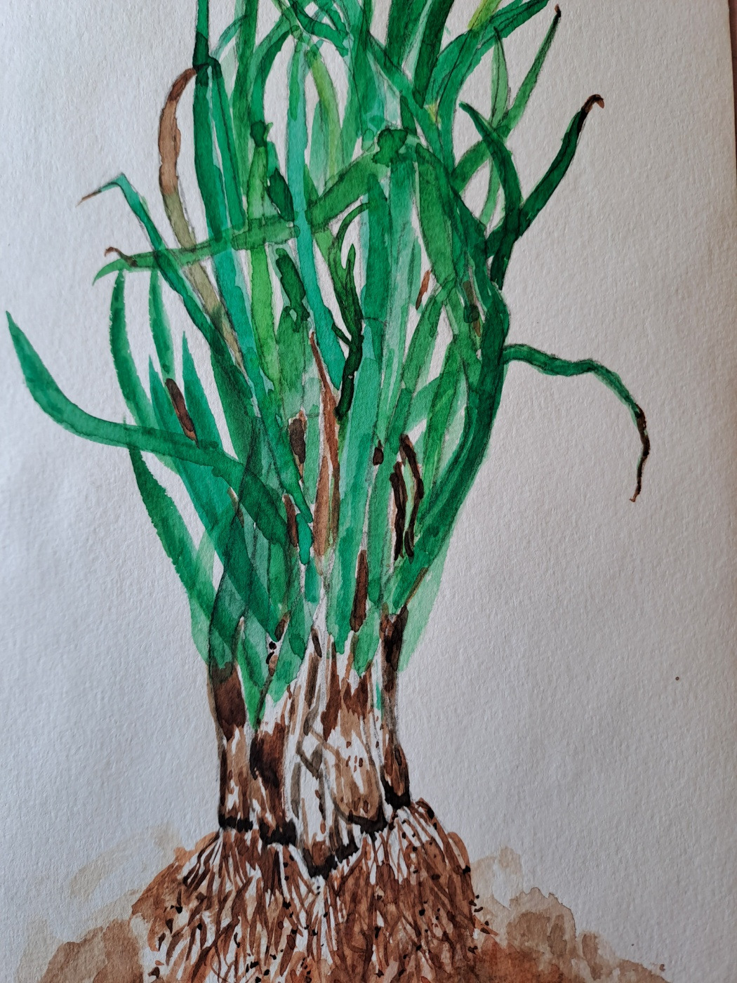 오마이 뉴스 해외 진출 사진 3.jpg