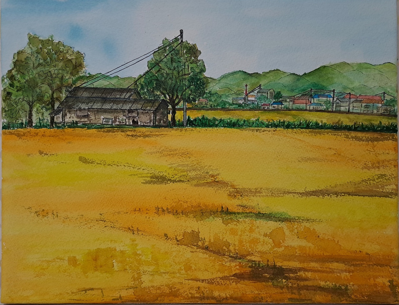 브런치 보통날의 시선 28 들녘 그림.jpg