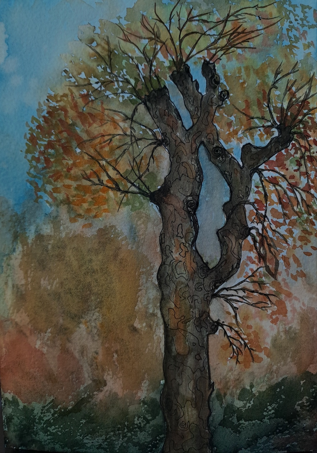 보통날의시선 30 플라타너스 그림.jpg