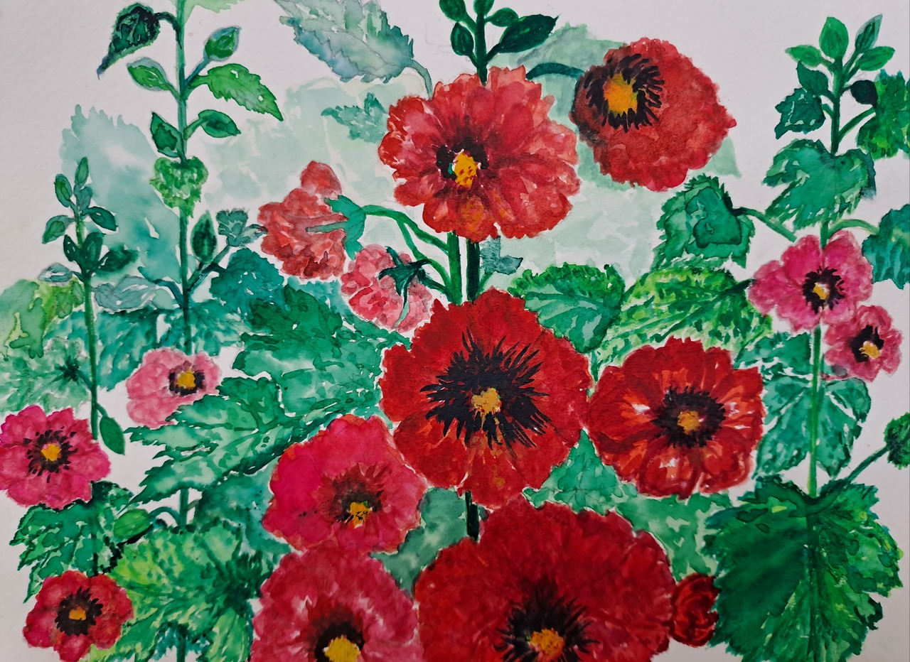 접시꽃 오후 그림.jpg