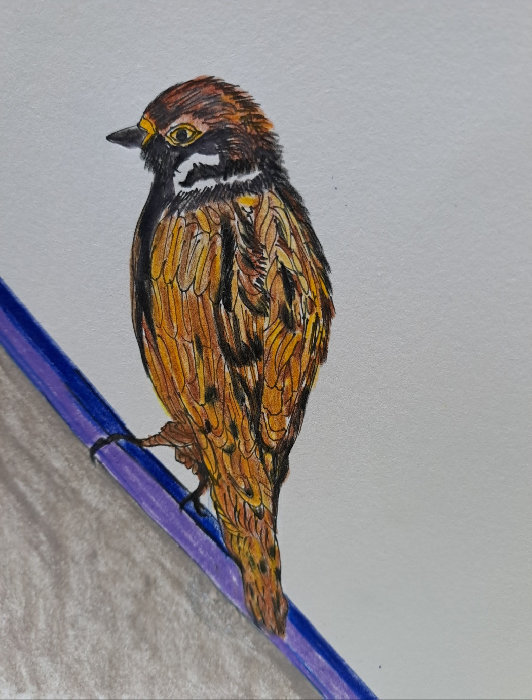 가보지 않은 세상 - 보통날의 시선 7 그림.jpg