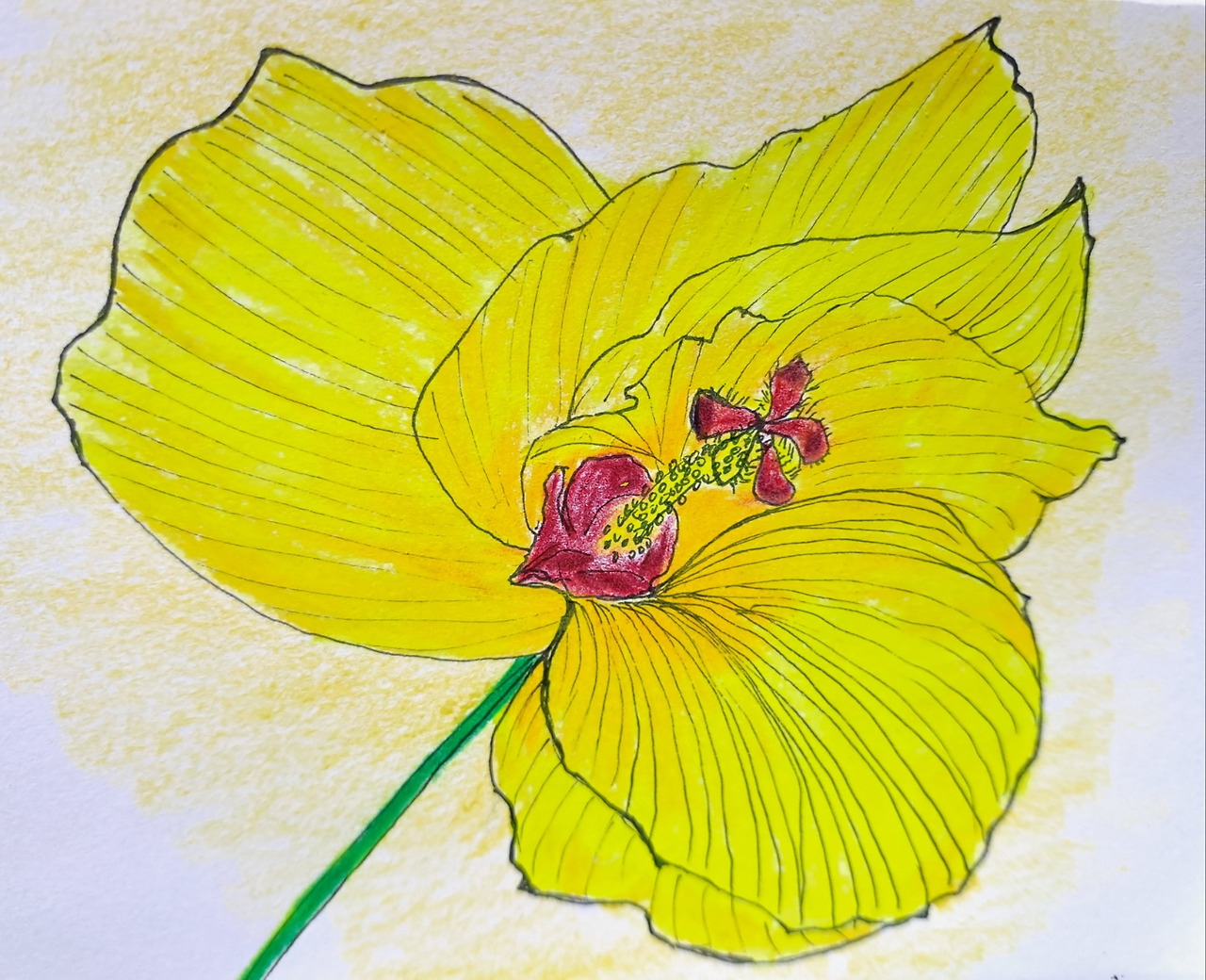 보통날의 시선13 달빛 부용 그림 2.jpg