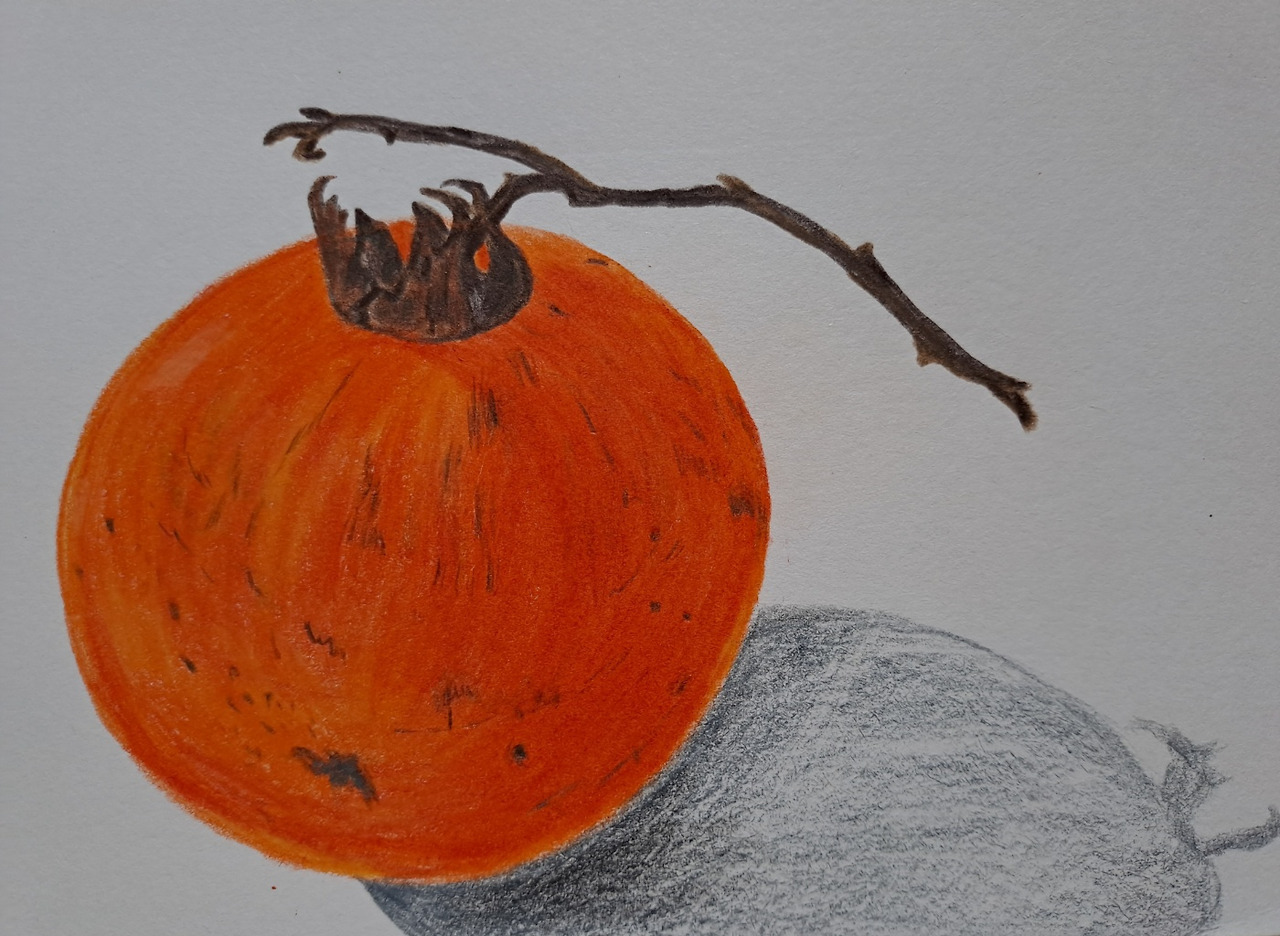 보통날의 시선1 홍시 그림.jpg