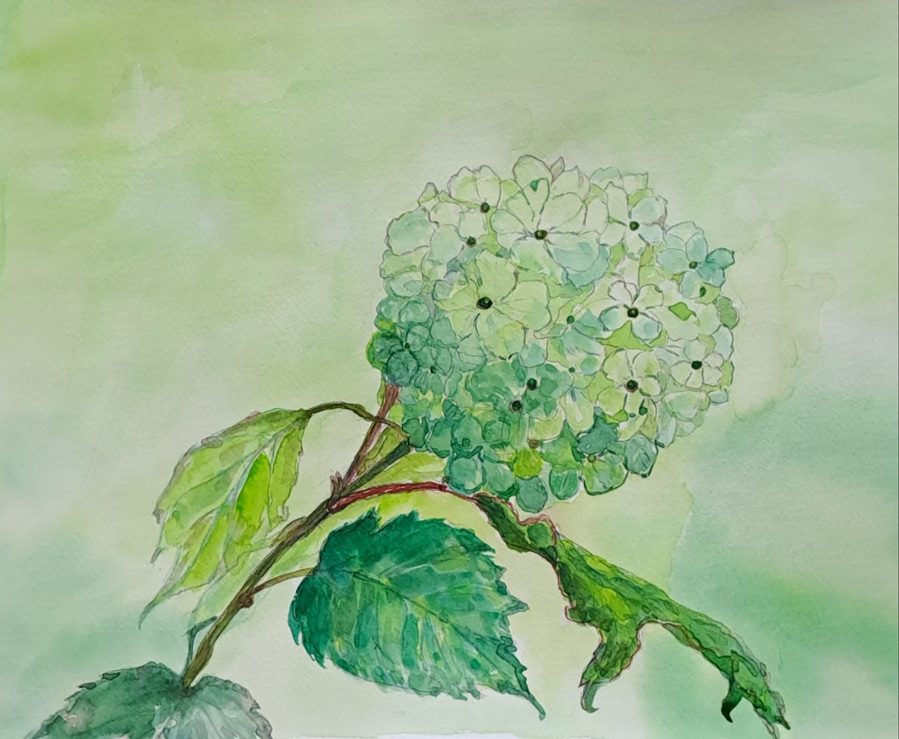 엄마 생각 보통날의 시선22 그림.jpg