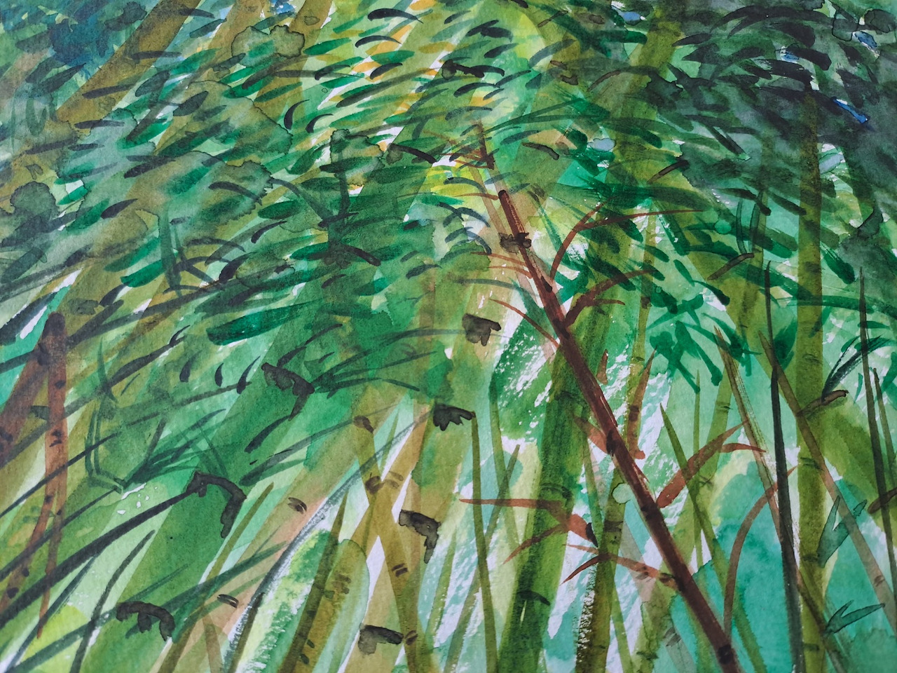 오마이 뉴스 해외 진출 사진 4.jpg