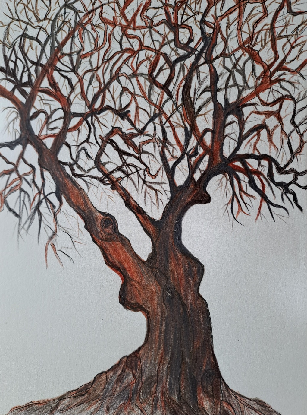 보통날의 시선 61 겨울나무 그림.jpg