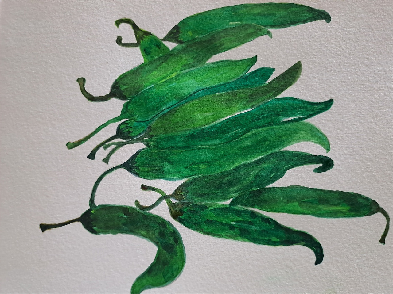 별 볼 일 그림 청양고추.jpg