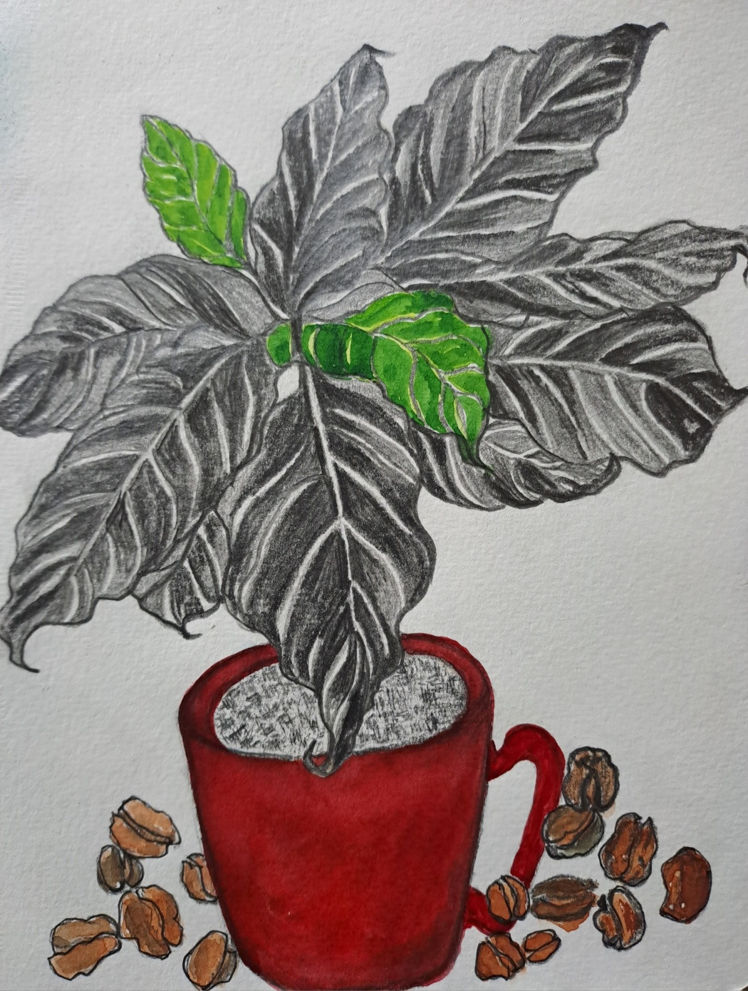 커피 소회 그림.jpg