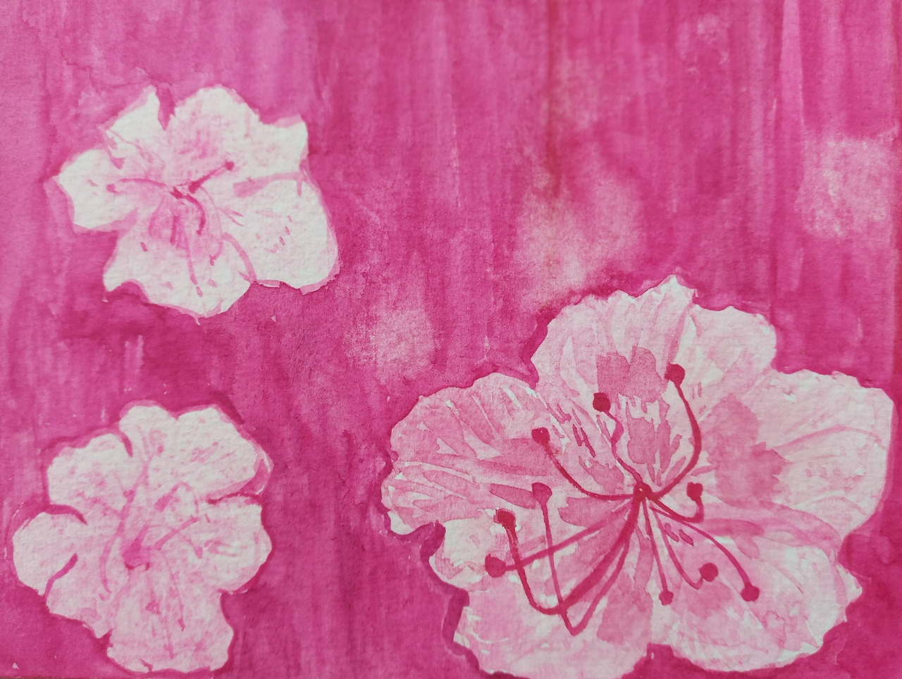 봄이 오면 사진3.jpg