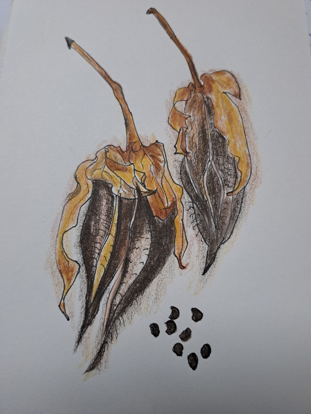 보통날의 시선 달빛 부용 그림3.jpg