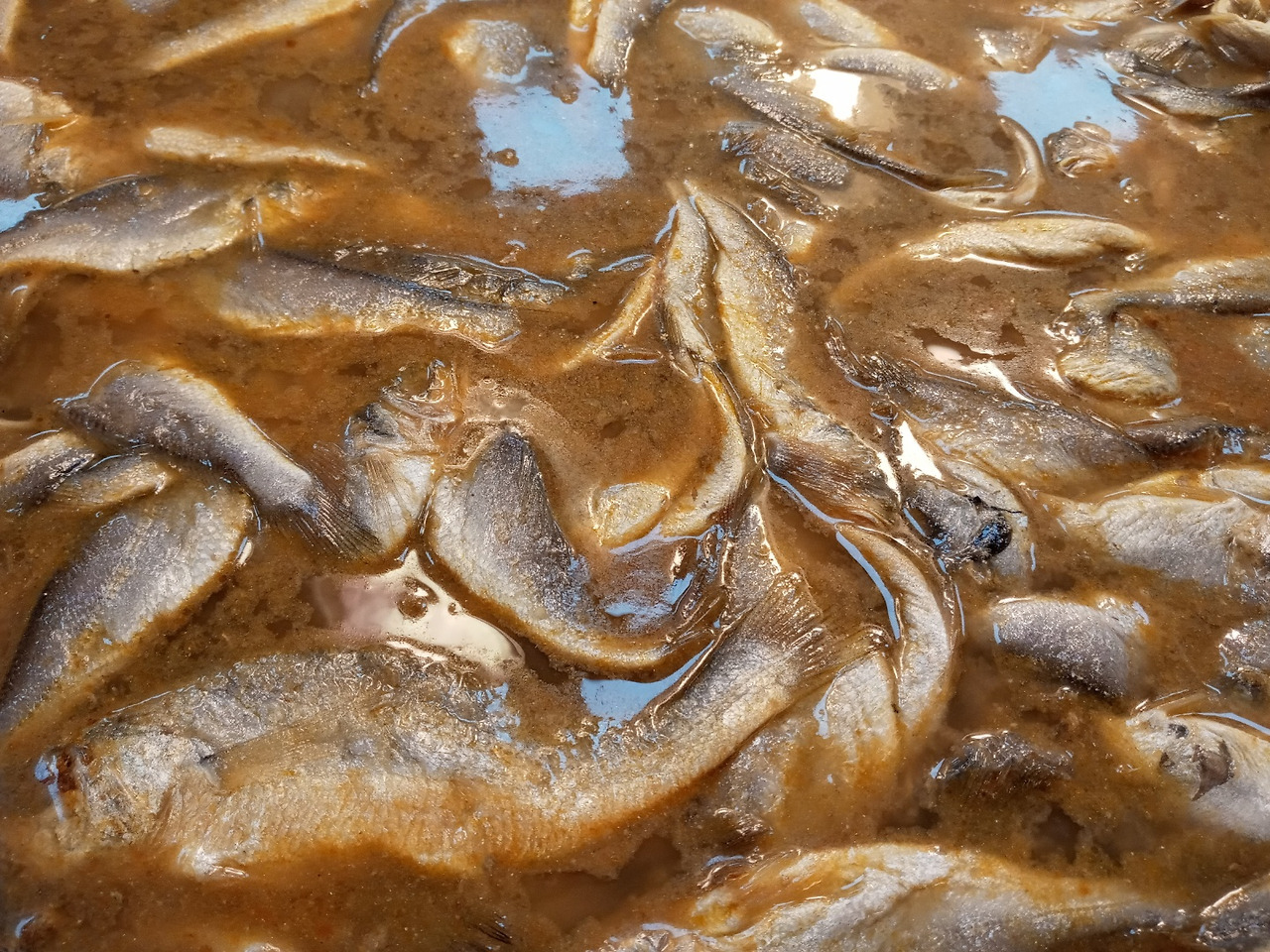 오마이뉴스 황석어 사진2.jpg