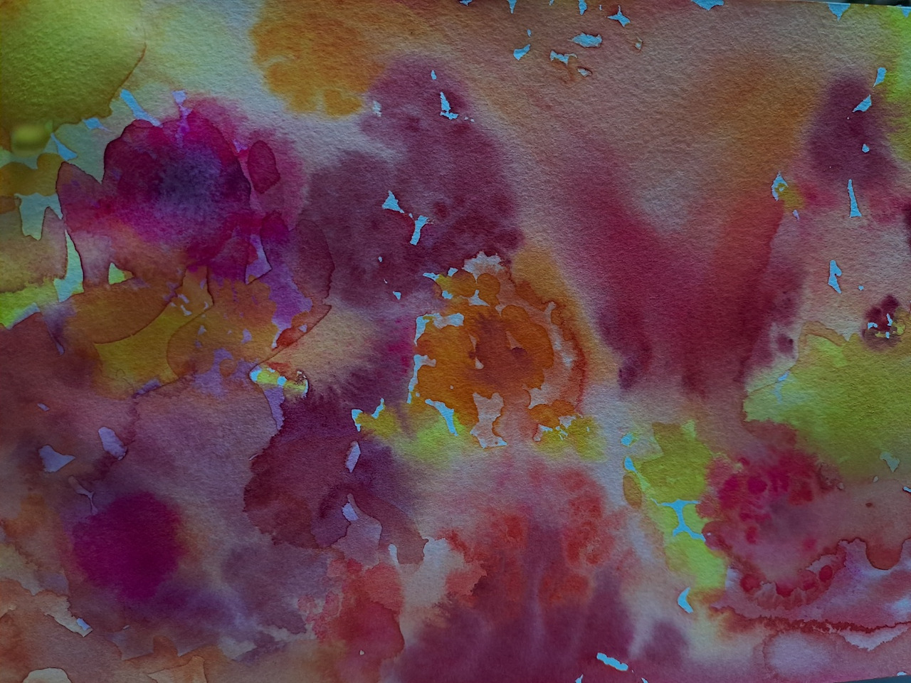 검버섯 꽃 그림.jpg