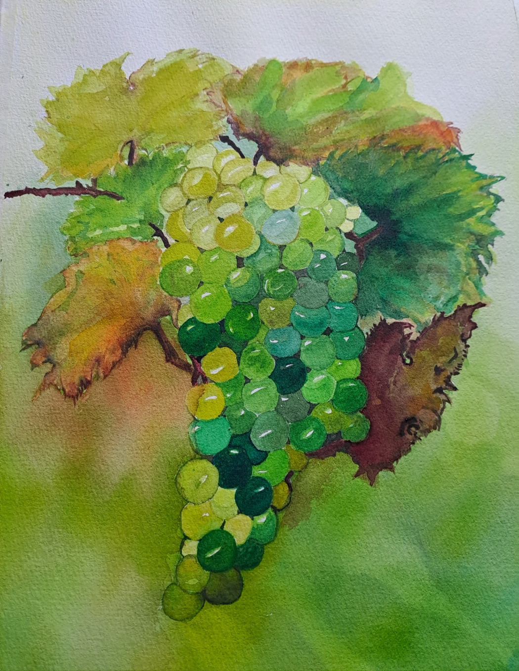 보통날의 시선 43 청포도 그림.jpg