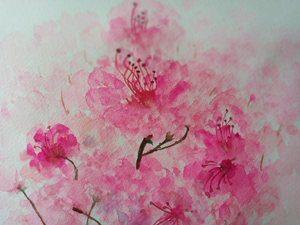 봄이 오면 사진2.jpg