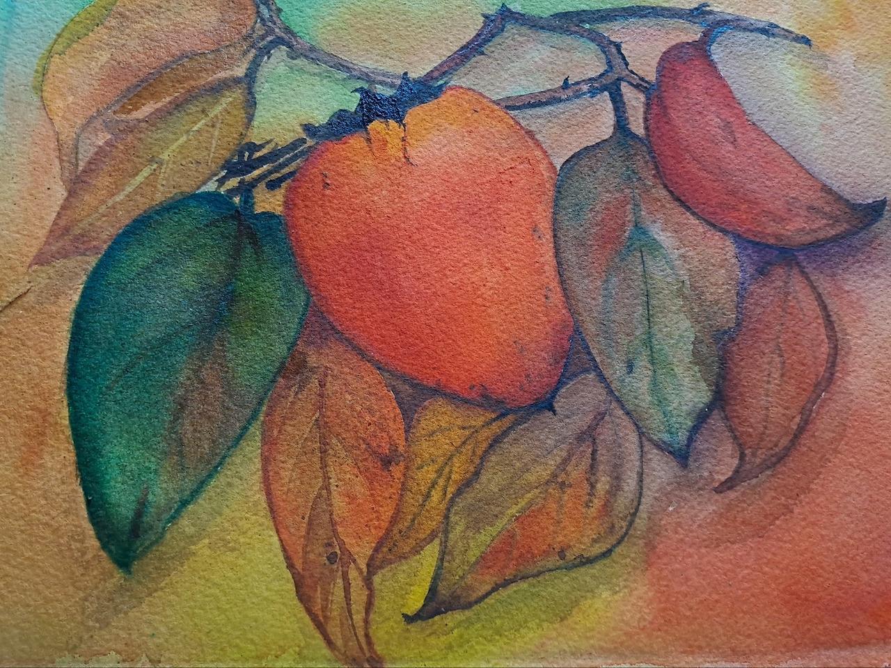 보통날의 시선 57 감 그림.jpg