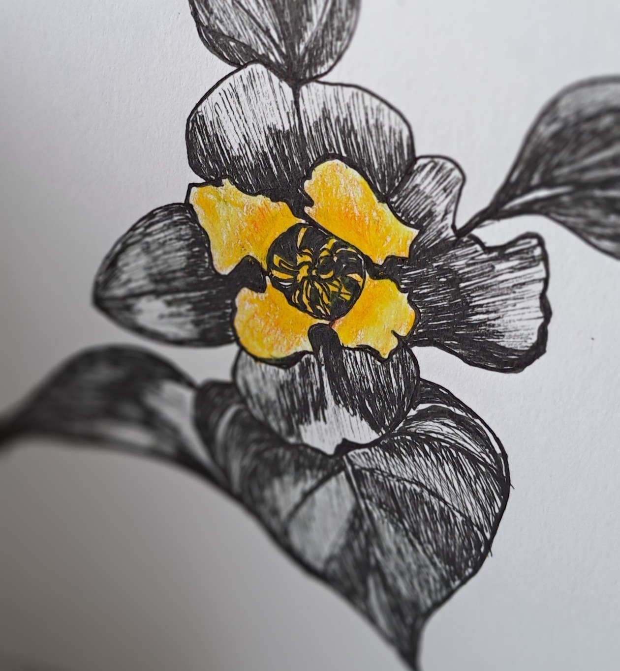 브런치 보통날의 시선 39 감꽃 그림.jpg