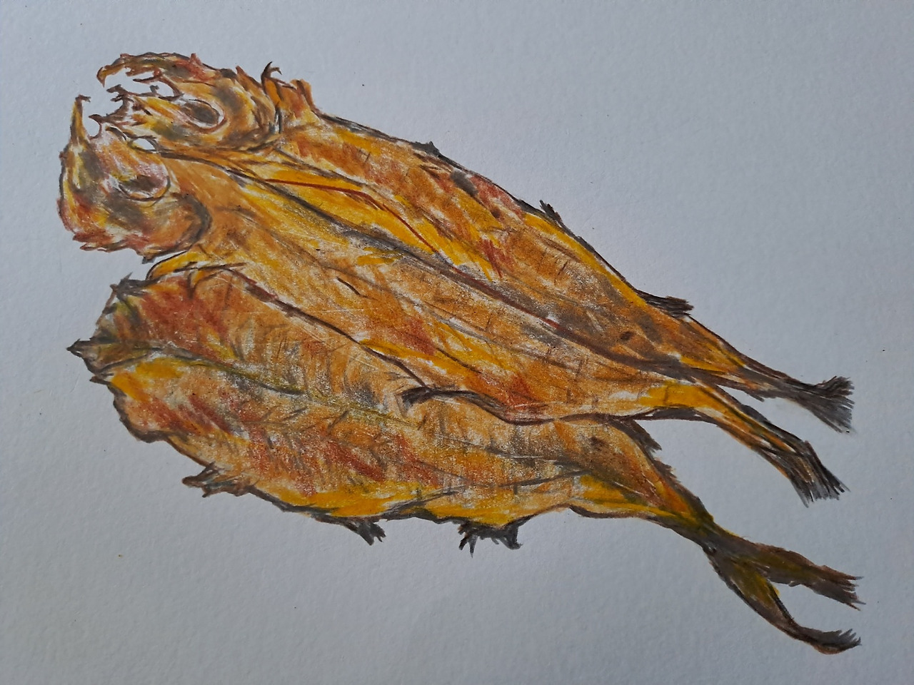 노가리 그림.jpg