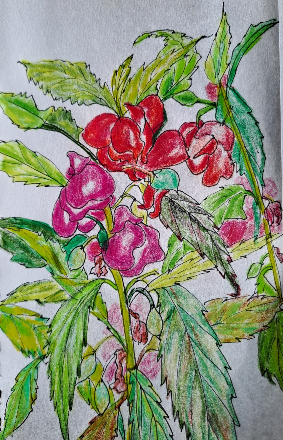 첫사랑은 마음이 두근두근하는 거야 -보통날의 시선 8 그림.jpg