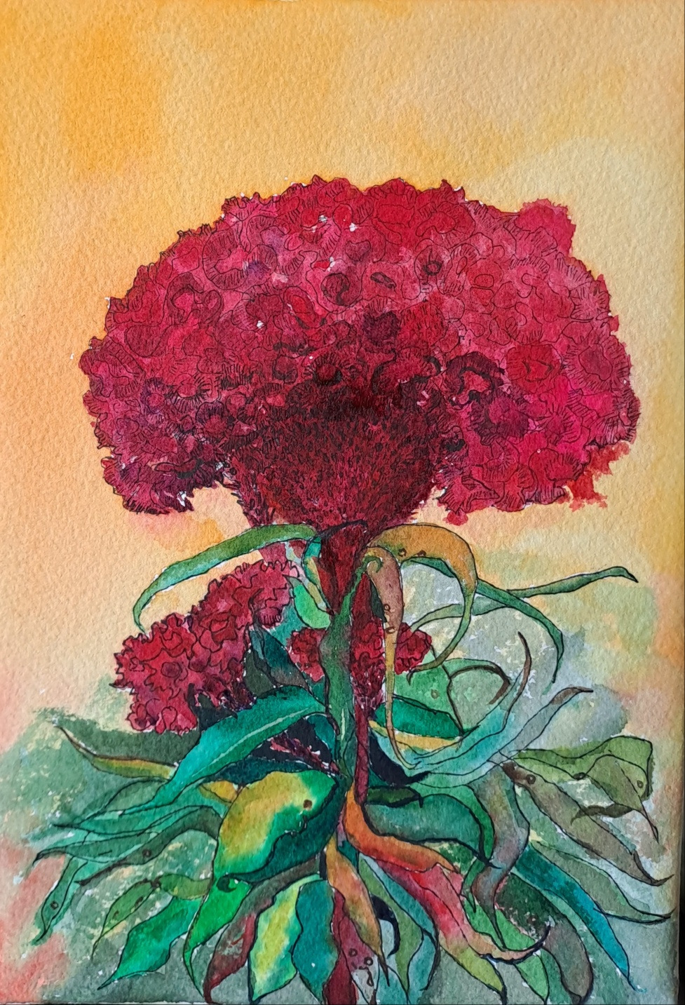 맨드라미가 피는 오후.jpg