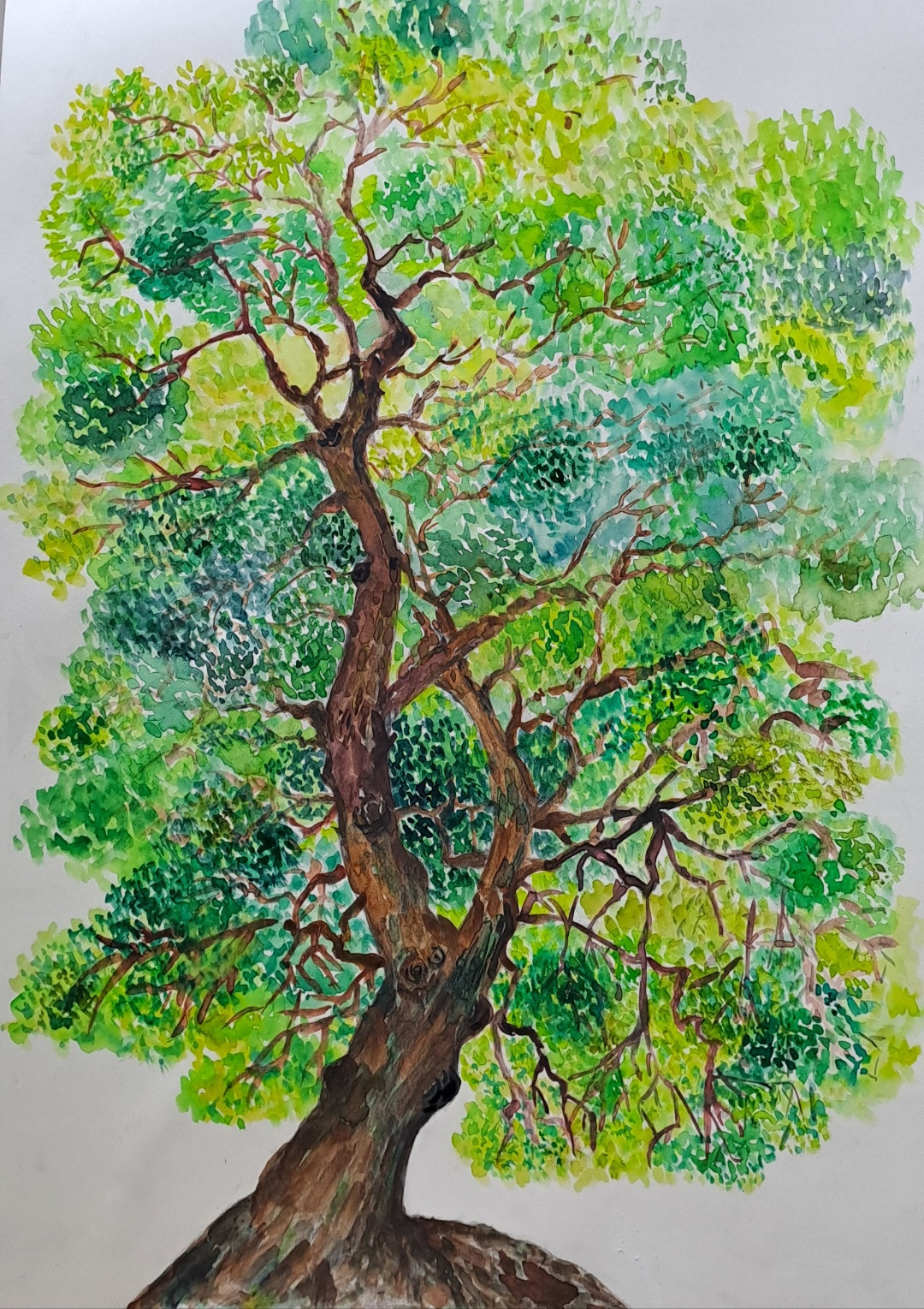 보통날의 시선 21 그림.jpg