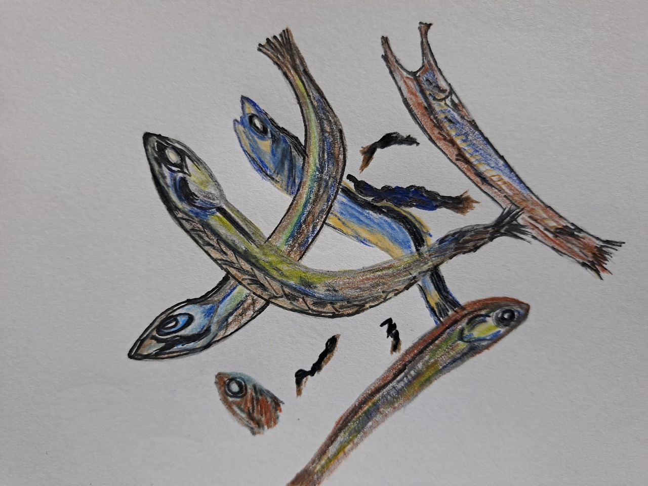 호랑의 동시6그림.jpg