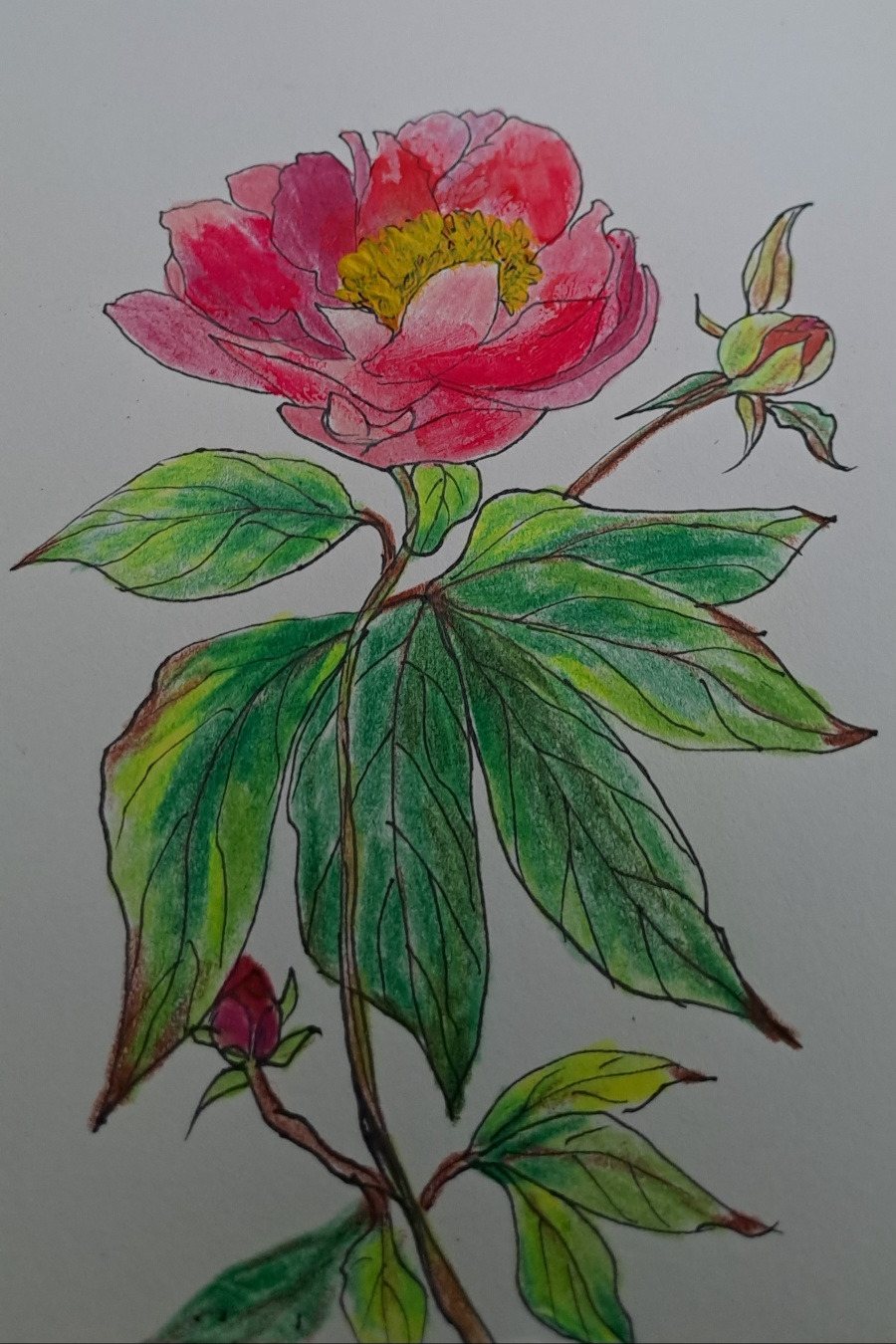 보통날의 시선 23 작약꽃 사내 그림.jpg