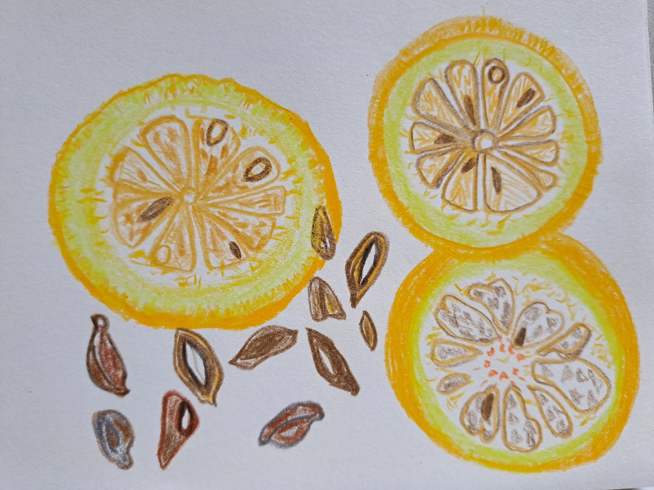 호랑의 동시그림22.jpg