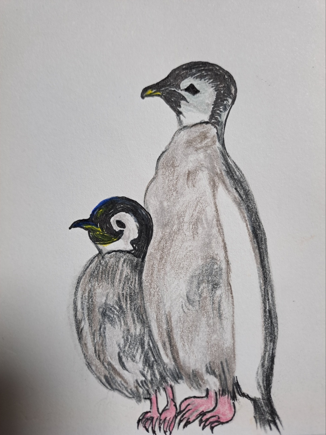 호랑의 동시5 그림.jpg