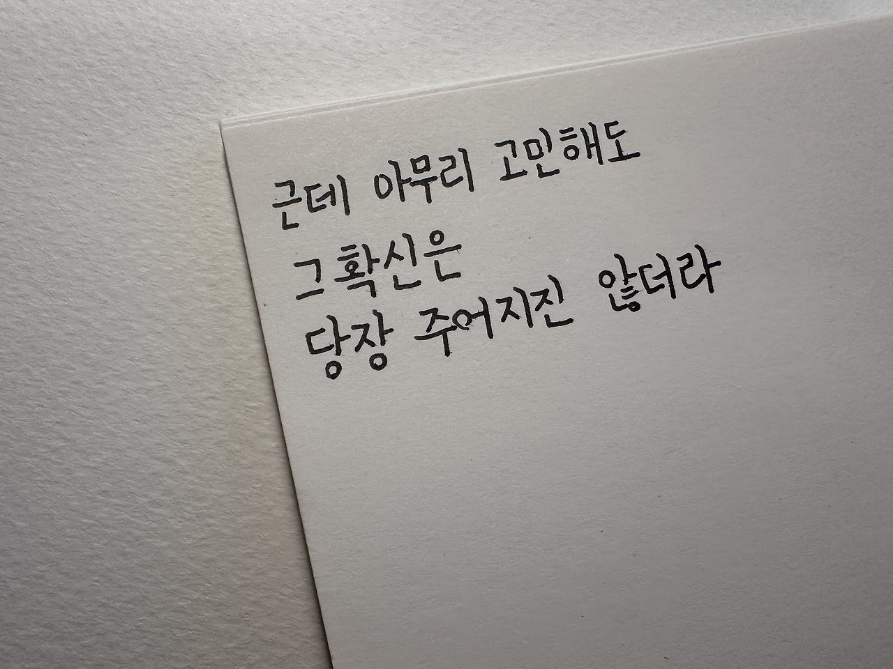 카지노 게임 추천