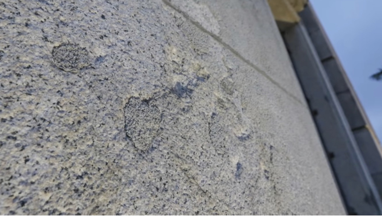 Screenshot 2022-11-24 at 11.25.17 AM.jpg