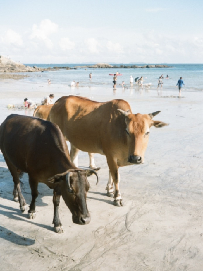 Screenshot 2022-11-11 at 12.36.50 PM.jpg