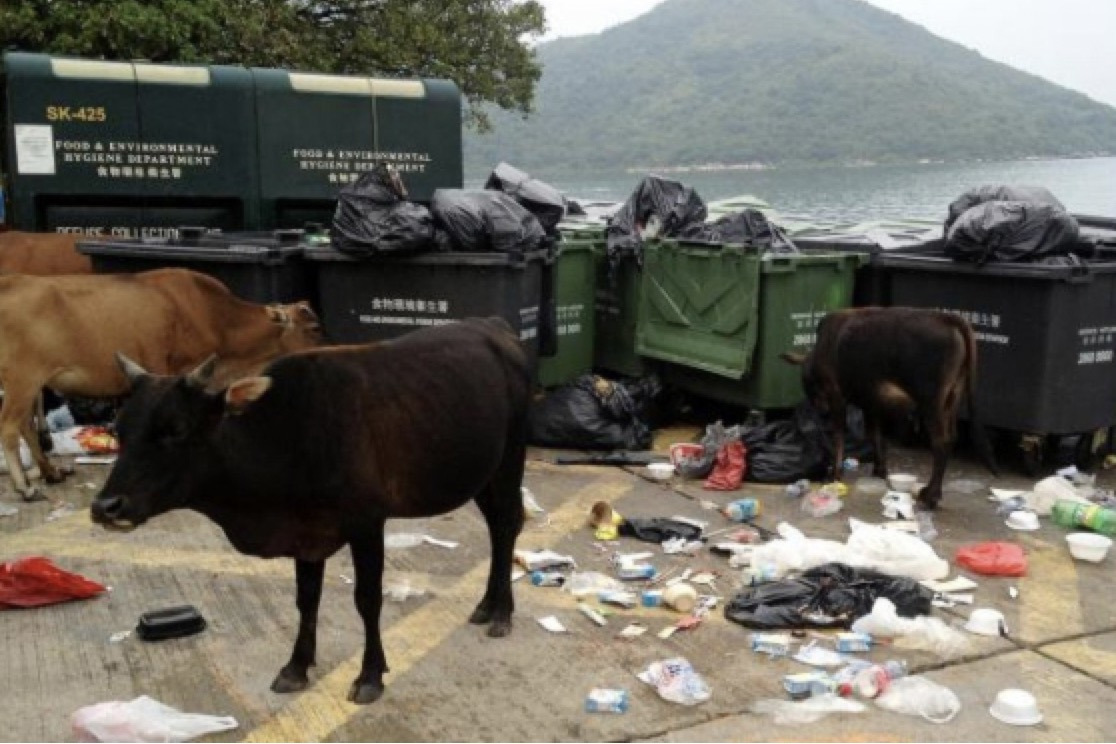 Screenshot 2022-11-11 at 12.37.04 PM.jpg