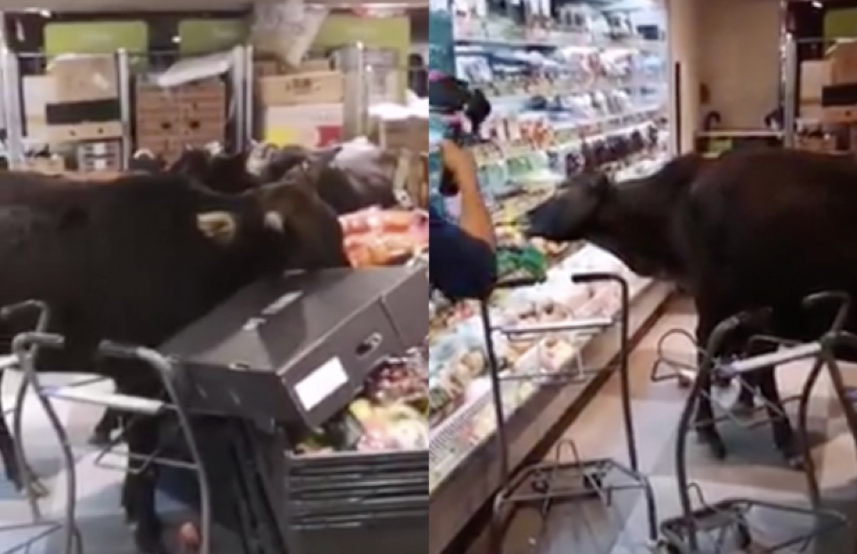 Screenshot 2022-11-11 at 12.37.14 PM.jpg