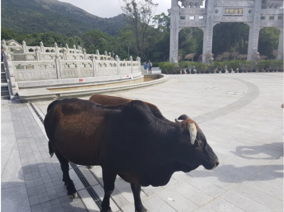 Screenshot 2022-11-11 at 12.36.28 PM.jpg