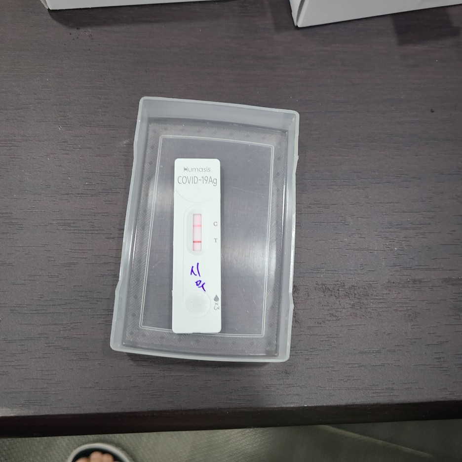 카지노 게임 사이트