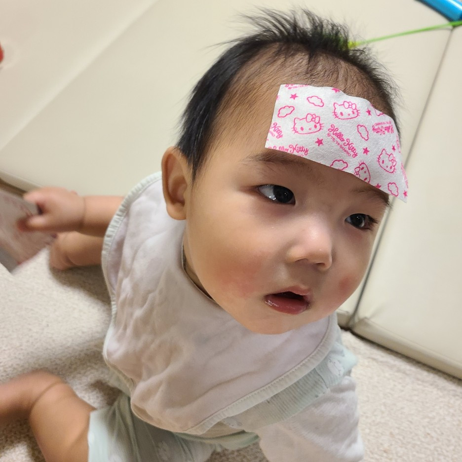 카지노 게임 사이트
