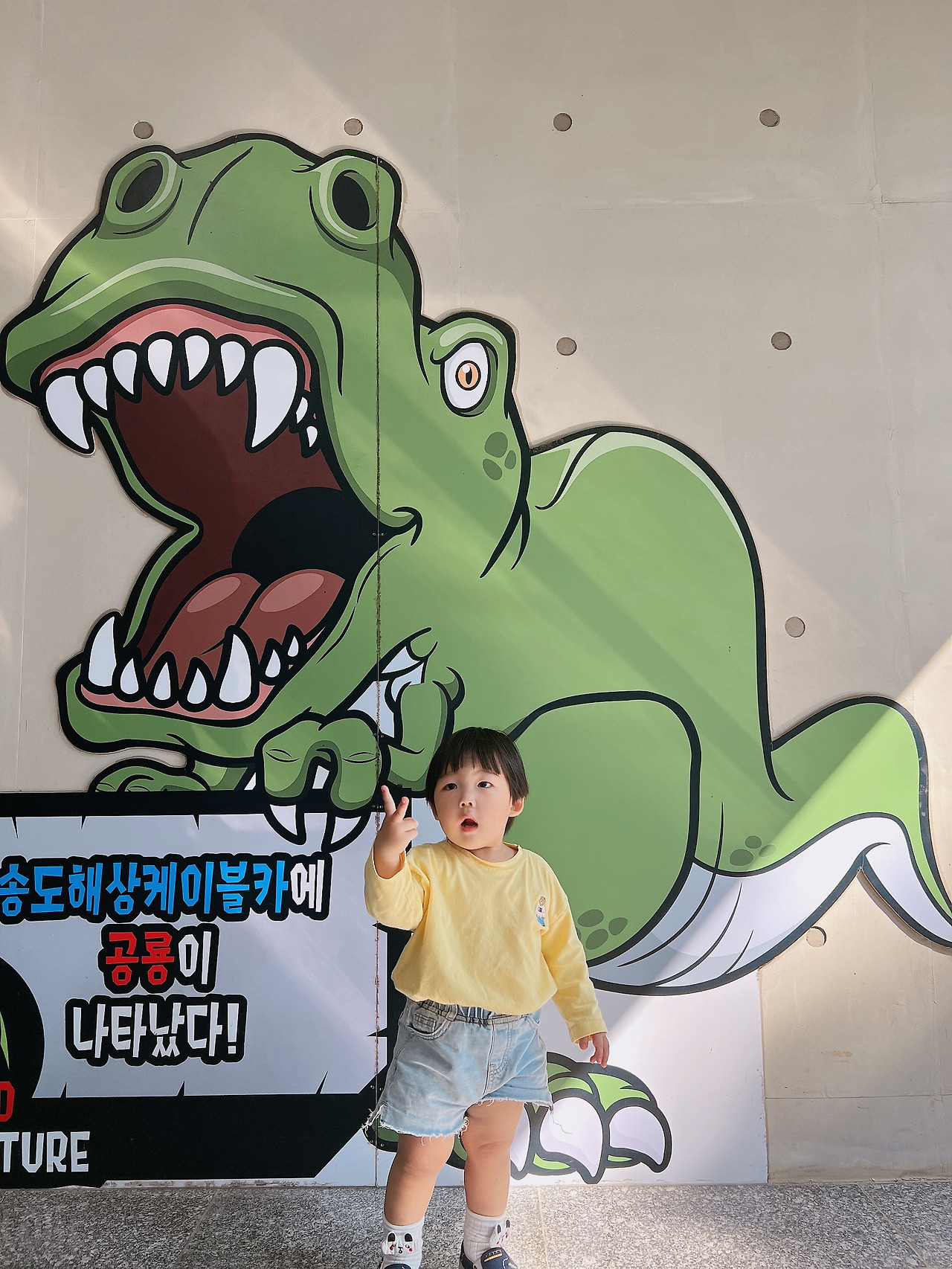 카지노 쿠폰