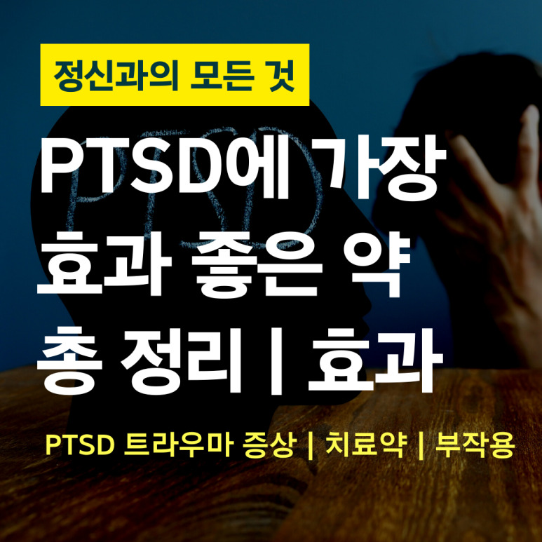 외상후 스트레스 장애(PTSD)의 치료 옵션