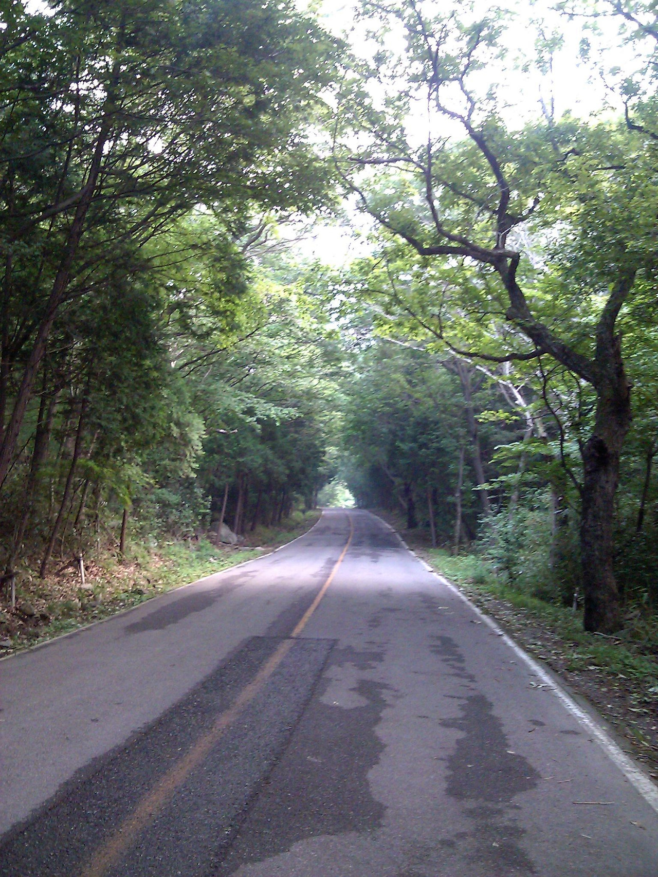 2011-06-27 18.17.25.jpg