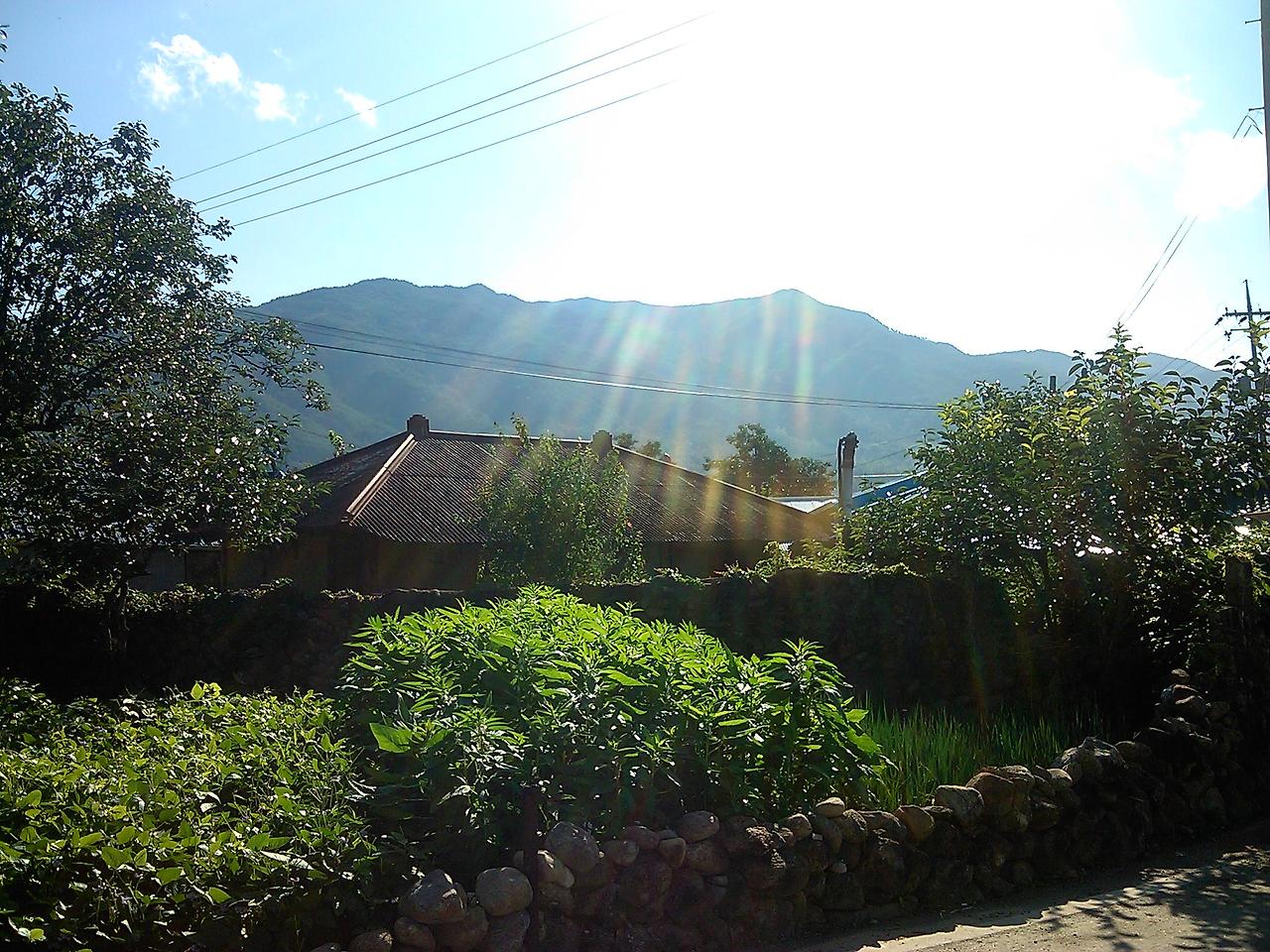 2011-08-05 08.44.44.jpg