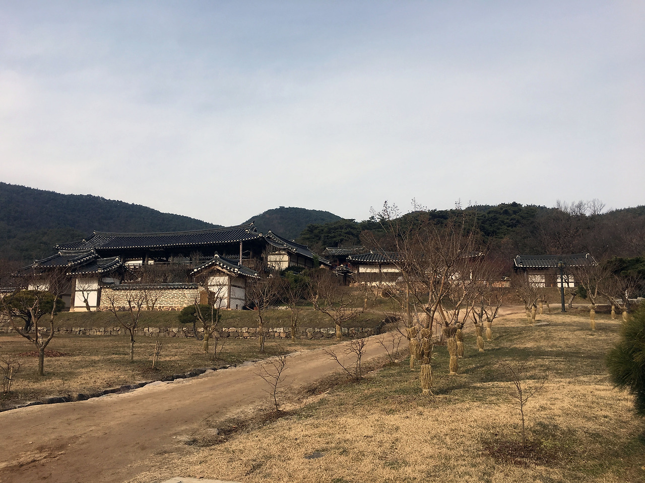 IMG_6096 복사본.jpg