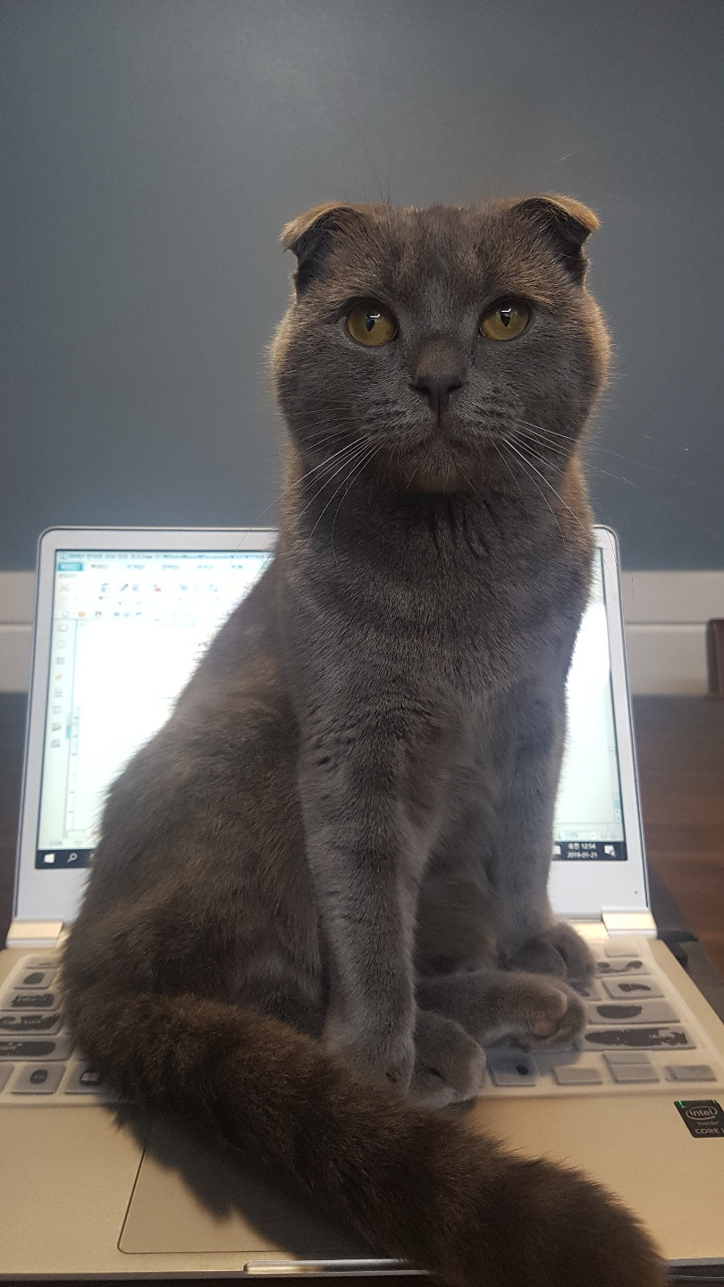 노트북 위 볼트.jpg