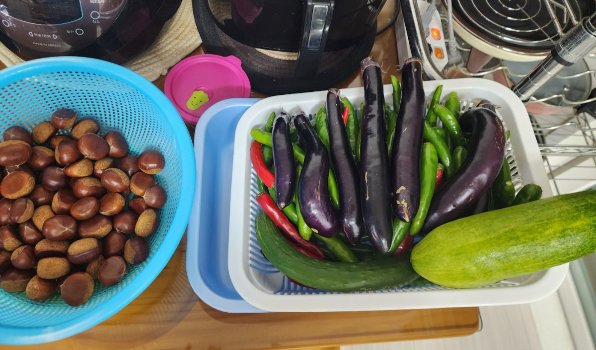 SE-7f5498b8-a891-11f0-9907-15d58e10f719 (1).jpg