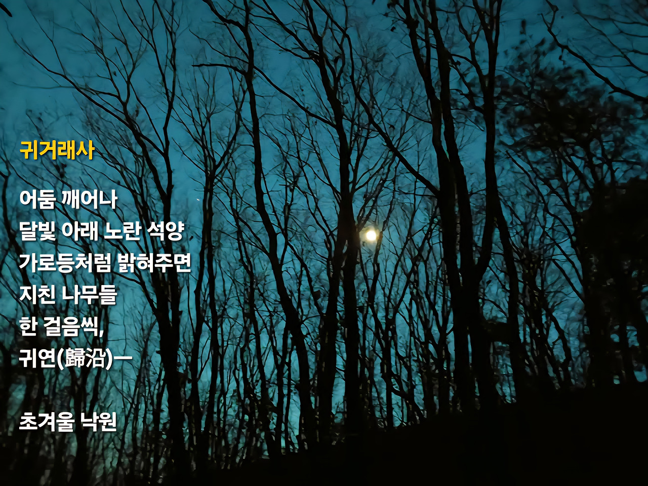 디카시 7. 귀거래사.jpg