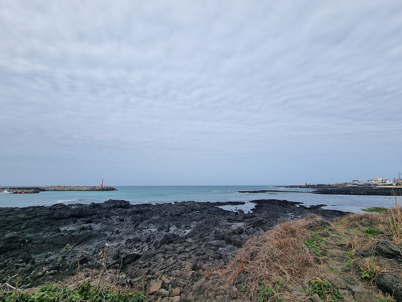 7. 가든가든하다..jpg